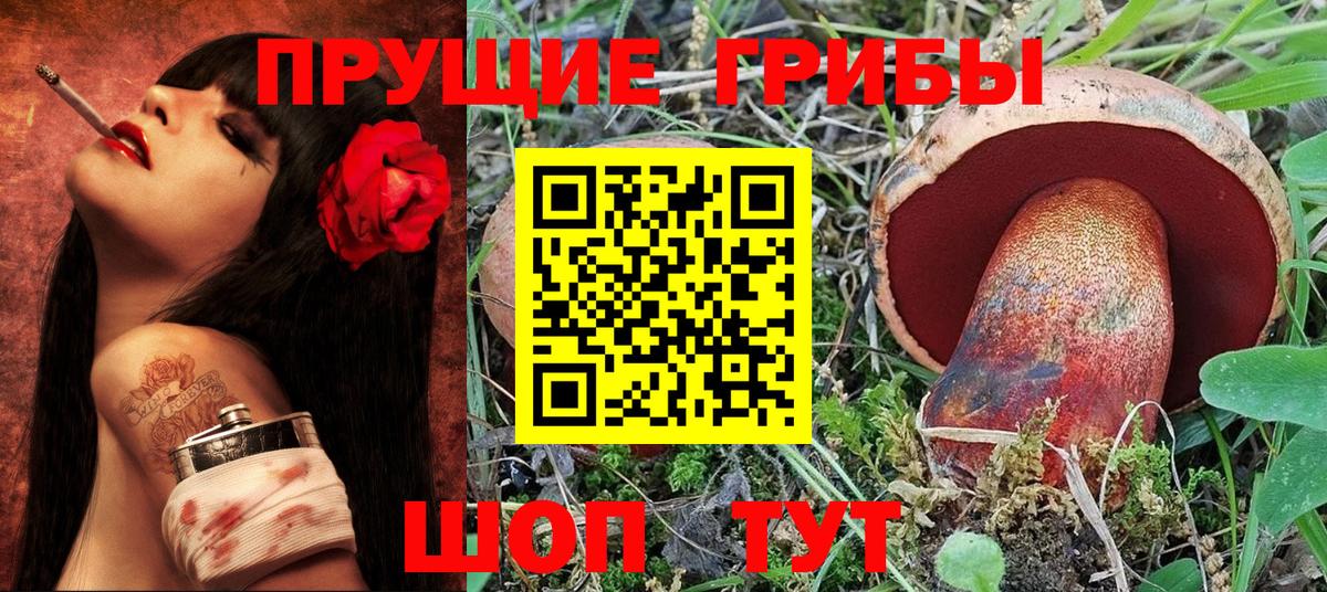 Галлюциногенные грибы Psilocybine cubensis  Вход с VPN  Кудымкар 