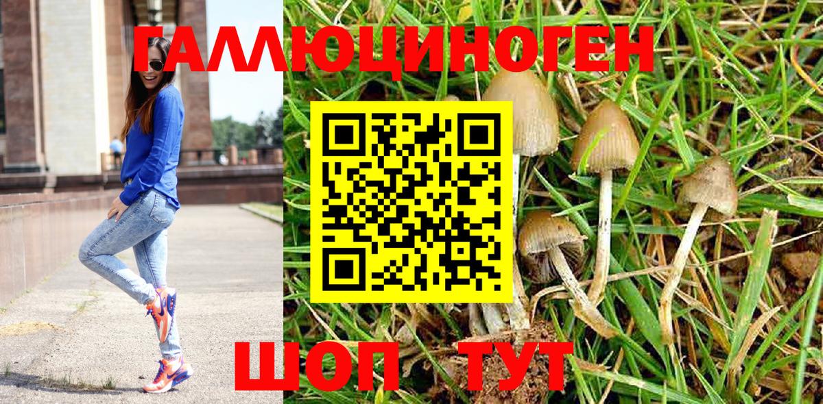 Псилоцибиновые грибы MAGIC MUSHROOMS Кудымкар
